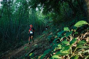 BIB: 
                            <button type="button" onclick="openModal(28124812)" class="btn btn-primary btn-sm float-right btn-popup" data-toggle="modal" data-target=".modal-high-quality">
                        <i class="fas fa-shopping-cart"></i> Add to Cart
                    </button>
                                            <button type="button" onclick="isThisMe(28124812, true)" class="btn btn-success btn-sm float-right btn-popup btn-isme hidden" data-toggle="tooltip" data-placement="bottom" title="นี่คือรูปของคุณใช่ไหม คลิกที่นี่เพื่อเอาเข้าอัลบั้ม">
                        <i class="fas fa-plus"></i> Add to album
                    </button>
                    <button type="button" onclick="isThisMe(28124812, false)" class="btn btn-warning btn-sm float-right btn-popup btn-isnotme hidden">
                        <i class="fas fa-ban"></i> Remove from album
                    </button>